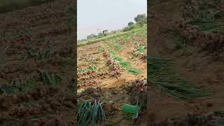 agriculuture automobile agriculuture villagelife funny music [upl. by Cormick]