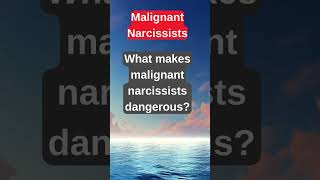 Inside the Mind of a Narcissist 🤯  Psychology Explained facts psychology musicalhealing [upl. by Mani]