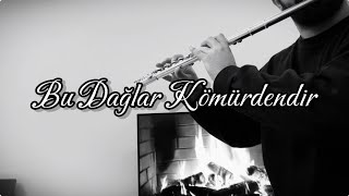 Bu Dağlar Kömürdendir  Yan Flüt  Flute   Fizyo Müzik [upl. by Cirda]