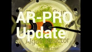 Pacific Sun ARPRO Algae Reactor Update [upl. by Euqinmod]