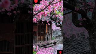 snowfall on flowers। snowy mountains। shorts 3d nature flowers [upl. by Naujak217]