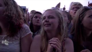 Arctic Monkeys  Arabella I Bet You R U Mine  Pinkpop 2014 HD [upl. by Ahon152]