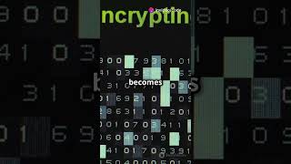 Build a Simple Encryption amp Decryption System with Caesar Cipher 🔐  Coding Challenge coding [upl. by Ahselyt104]