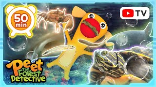 Underwater Wonders Aquatic Life Explored  Peet The Forest Detective [upl. by Wollis583]