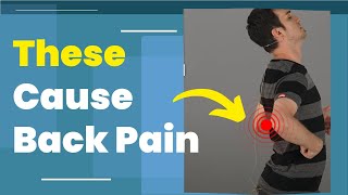 5 Common Causes of Back Pain [upl. by Phyllys]