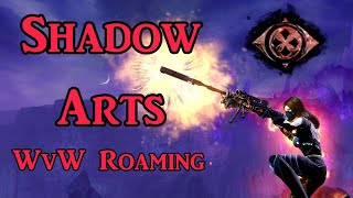 Shadow Arts Rifle Deadeye Build  GW2 WvW Roaming [upl. by Ahsyle]