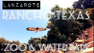 Rancho Texas Lanzarote  Zoo amp Water Park Experience [upl. by Ainivad]