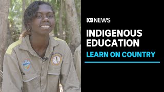 A program embracing Indigenous languages and culture in learning is having great outcomes  ABC News [upl. by Biddle]