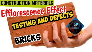 Red Brick में अगर यह सफेद धब्बे दिख जाए तो हो जाएं सावधान 🥶  Efflorescence Effect on Red Brick [upl. by Pasol]