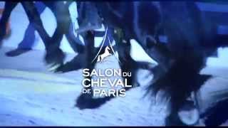 HORSEDANCE  Nuit du Cheval 2014 [upl. by Aicarg]