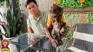 Monkey YoYo Jr get angry when a stranger take his baby monkey [upl. by Drahcir]