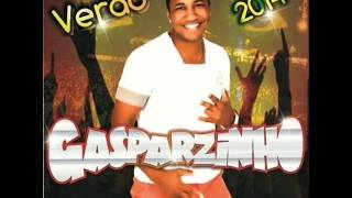 GASPARZINHO CD NOVO  VERAO 2014 • Pegando a sua irmã [upl. by Ahsimat]