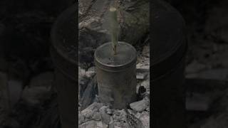 Make Natural Charcoal  Survival Bushcraft survival bushcraft lifehacks [upl. by Aeresed]