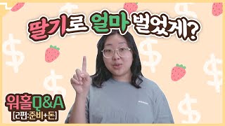 호주워홀 총수입 공개합니다❗️꿀팁 대방출🍯 워홀 QampA 2편｜준비물 비자 신청 비용 등등 [upl. by Asirret]