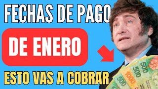 🛑 Cuando y Cuanto COBRO en FEBRERO  CAMBIO en las FECHAS de PAGO JUBILADOS ANSES PENSIONADOS AUH [upl. by Cynera]