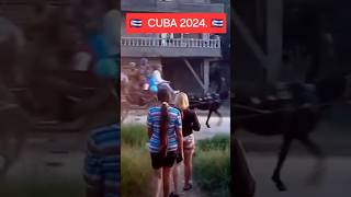 CUBA 🇨🇺 CONGA de Santiago 🎶 shorts [upl. by Namajneb]