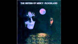 The Sisters of Mercy  This Corrosion Floodland album [upl. by Yclehc906]