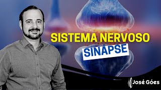 Sistema nervoso – SINAPSE  José Góes [upl. by Alliuqa]