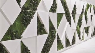 🌱LATEST WALL DESIGN WALL INTERIOR DESIGN MODERN WALL DESIGN WALL INTERIOR DESIGN☘️ [upl. by Oiruam]