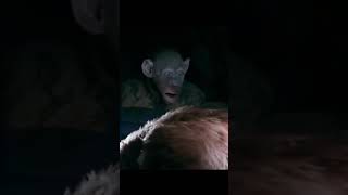 Oh No Planet of the Apes meme instagram memes planetoftheapes funny tiktok viral viralvideo [upl. by Rusty]