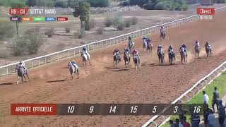 Live Hippodrome « SETTAT »  Courses du « 03102023 » [upl. by Aihsenod347]