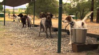 CottonWood Hunt Club Yerington NV [upl. by Amek]