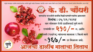 K D Choudhari Dalimb Yard Pune  दिनांक ०५०२२०२४ वार सोमवार रोजीचा डाळिंब आणि पेरू मालाचा लिलाव [upl. by Pattie]