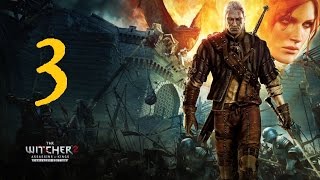 THE WITCHER 2 Assassins of Kings 3  Lets Play [upl. by Allertse]