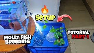 Molly Fish Breeding Tank Setup 🔥😍Breeding Tutorial Part1Nikhil Patle petsvlog vlogs mollyfish [upl. by Aneeled]