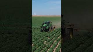 John Deere 412r x Dryland Cotton In A Drought shorts farming tractor [upl. by Laersi]