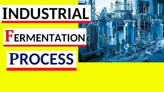 Fernentation Industry  Industrial Fermentation Process [upl. by Mateusz322]