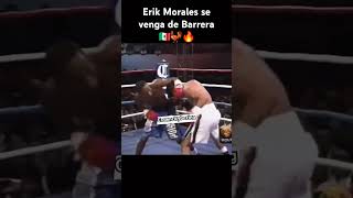 boxeo boxing viralvideo reels mexico revenge morales barrera knockout [upl. by Swamy]