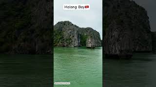 Halong Bay Tour in Vietnam🇻🇳halongbay cruise beach vietnam youtubeshorts shorts vacation [upl. by Thibaut705]