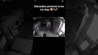 Skinwalker Pretends to be Dog [upl. by Bonns151]