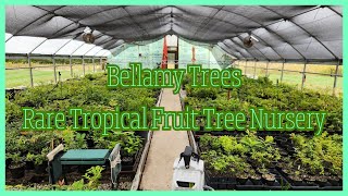 Kentucky Rare Tropical Fruit Tree Nursery Bellamy Trees Update [upl. by Evelunn424]