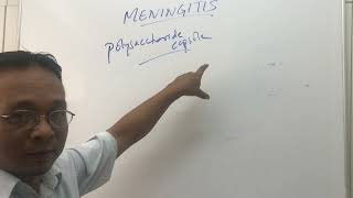 Meningitis causes and pathophysiology [upl. by Acirret710]