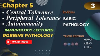 Central And Peripheral Tolerance Autoimmunity and Autoimmune Diseases Robbins Chapter 5 Lecture 3 [upl. by Gapin558]