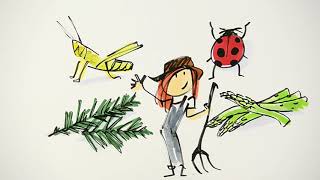 Agroecology explained to childrenparents can watch [upl. by Cynde]