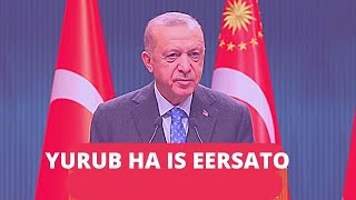 Husein Kurdi ORDOGAN Yurub waxay galabsatay ayaa haysta [upl. by Eceined822]