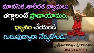 Types of Pranayama Yoga Breathing Techniques with Instructions  ఆరోగ్యమే మహాభాగ్యం  ధ్యాన యోగసాధన [upl. by Poul557]