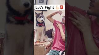 Most powerful dog breeds vs Me 🚨shorts dog husky trendingsongs hanumankind [upl. by Esele]