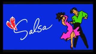 SALSA  SOY EL LADRON DE TU AMOR [upl. by Arual]