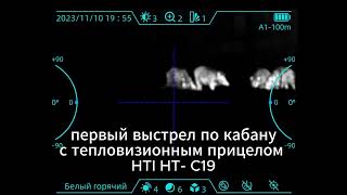 Добыча кабана с тепловизионным прицелом HTI HT  C19 с объективом 54мм [upl. by Attenej]