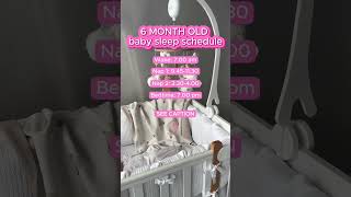 6 month old Baby sleep schedule👇Let’s break it down👇 babysleep babysleeptips babysleeproutine [upl. by Tnerual]