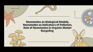 Nematodes as Biological Model  Nematology Beneficial Nematodes [upl. by Cammie]