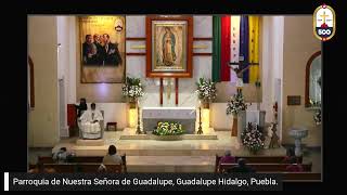 EN VIVO Celebración Eucarística San Juan Pablo II Papa [upl. by Gavrielle657]