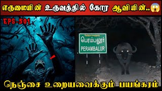 Real Life Ghost Experience in Tamil  நெஞ்சை உறைய வைக்கும் திகிலின் உச்சம்  Shivas Investigation [upl. by Elpmid429]