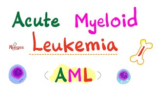 Acute Myeloid Leukemia AML  Auer Rods  Myeloperoxidase Positive  Hematology amp Oncology Series [upl. by Ellennaj]