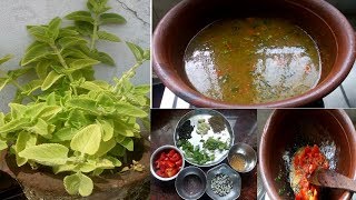 Karpooravalli or Omavalli Leaves RasamKarpooravalli or Omavalli leaves recipes in tamil [upl. by Anirbed]