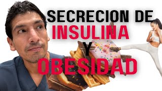 SECRECIÓN DE INSULINA CONTINUA Y OBESIDAD  ADICCION A LA COMIDA [upl. by Eceela249]